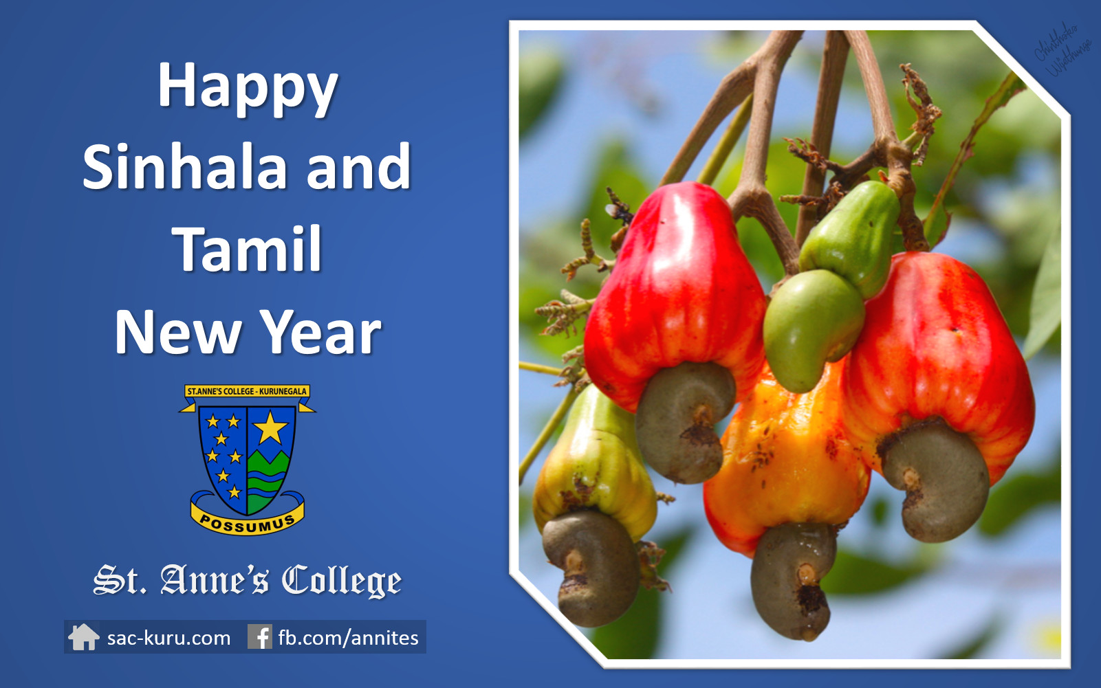 Happy Sinhala and Tamil New Year